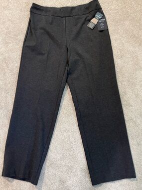 Zac & Rachel  Women's Grey Ultimate Fit Pants Size 18P NWT